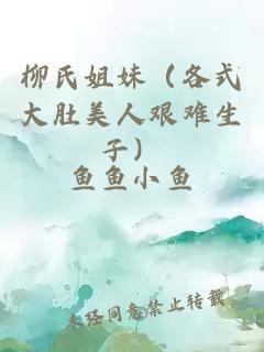 柳氏姐妹（各式大肚美人艱難生子）