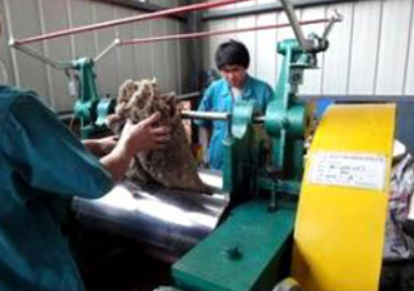 ���z�C(j��)